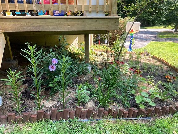 3rd image of 153 Coffin Rd Unit 10