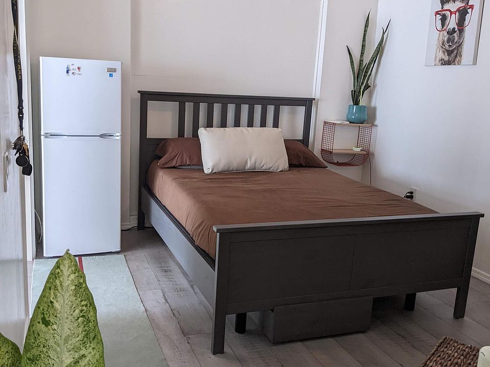 Interior of room small fridge included. Furniture and plants added for ideas and to provide an idea of scale of room