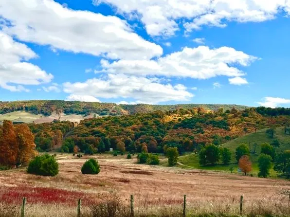 8808 Blue Grass Valley Rd, Monterey, VA 24465