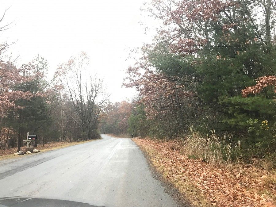 2nd image of 49 Lewis Ln