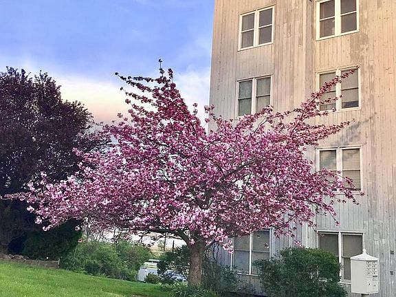 2nd image of 5219 Le Parc Dr APT 2