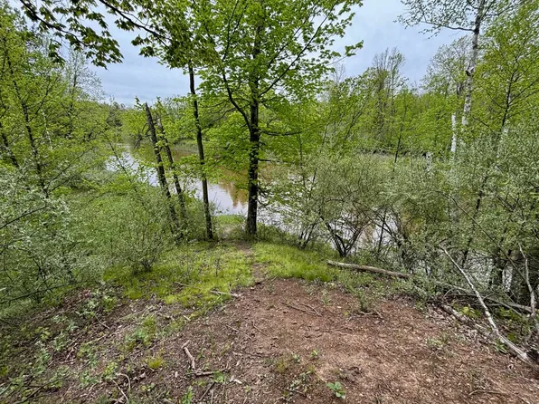 1240 Birch Ridge Rd, Gladwin, MI 48624