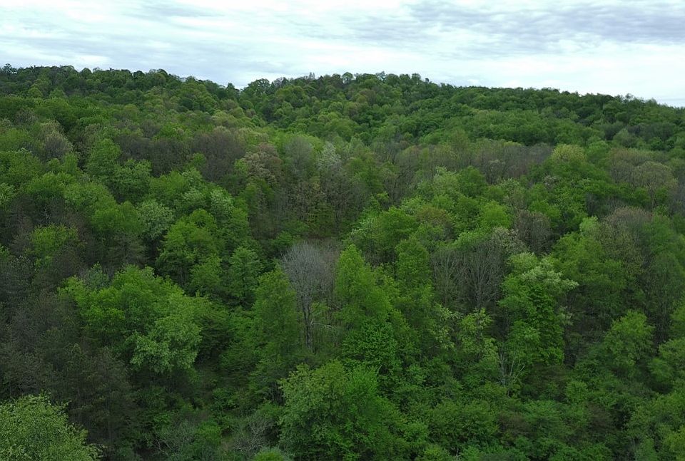 2nd image of 1878 Dime Rd
