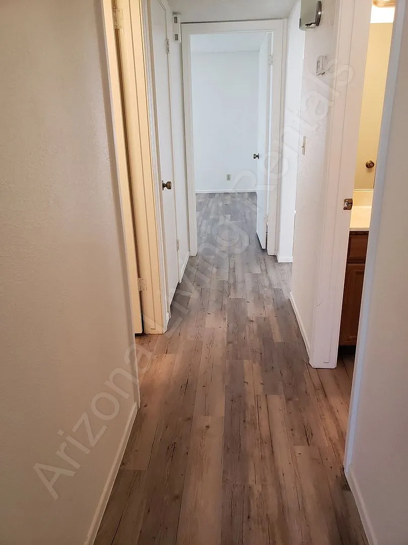 PALO1781 — Photo 4