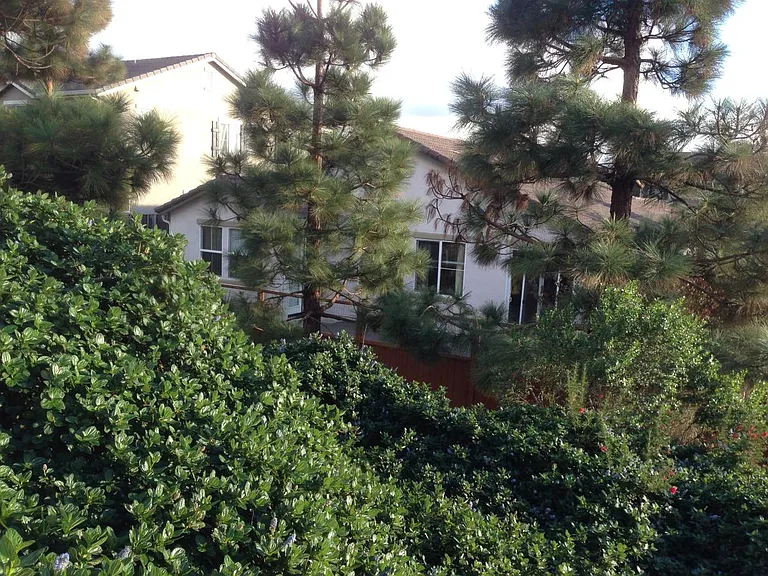 5005 Beach Wood Dr — Photo 23