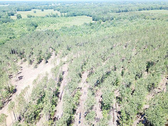 5th image of Off Cres #4290