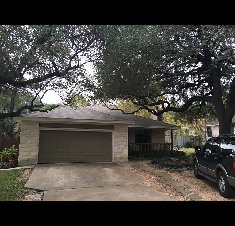Massive, Gorgeous, Oaks!