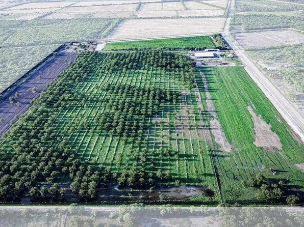 LOT Fm 1908 #D, Quemado, TX 78877