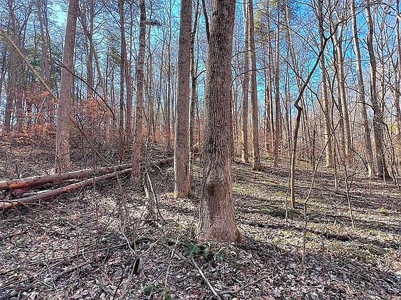 5th image of 53.44 Sparks Rd