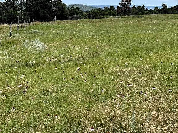 3rd image of TRACT 3 Painted Horse Rd