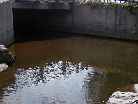 4th image of 1027 County Road 38