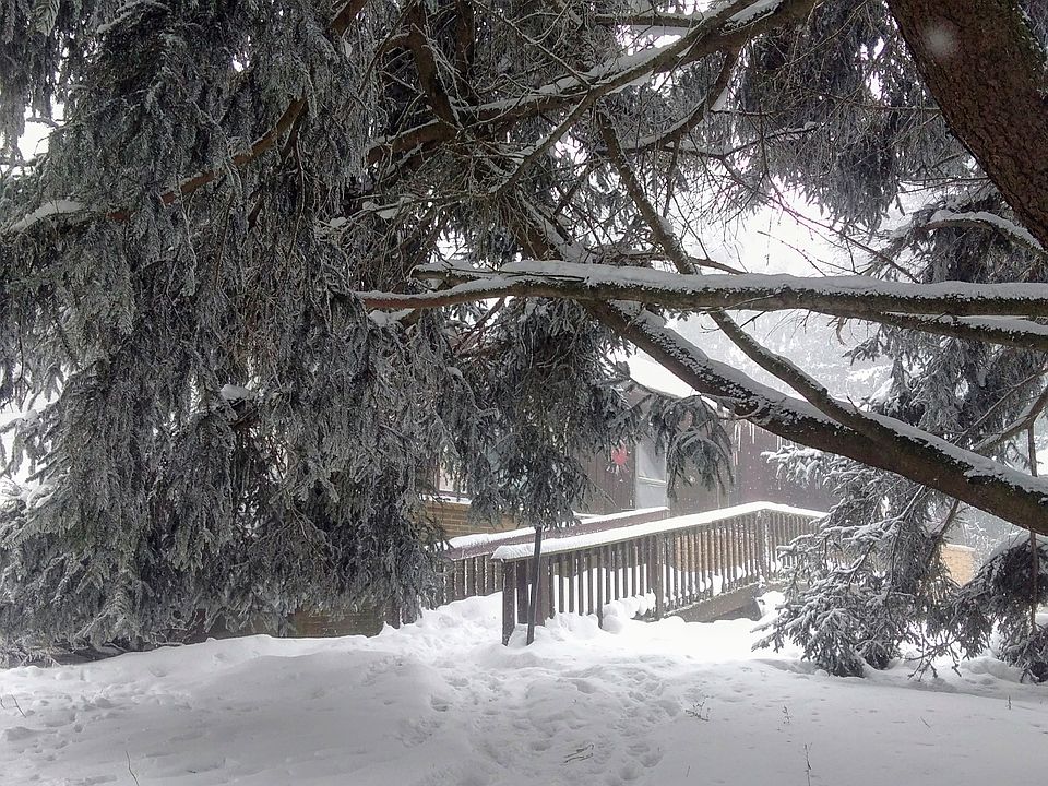 2nd image of 1548 Clinton Street Rd