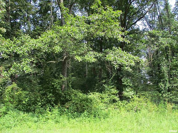 3rd image of 0 White Birch Ct