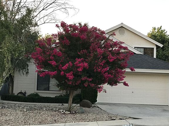 Front of house spring/summer