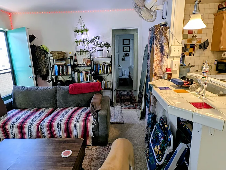 1060 Emerald St — Photo 5