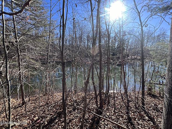 4th image of 0 Crockett Lake Rd Lot 78