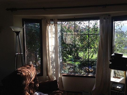 2nd image of 24681 Diane Ln
