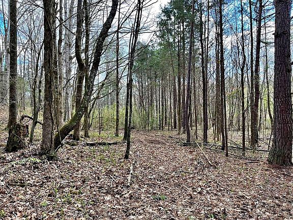 2nd image of 0 County Road 188 Lot 1
