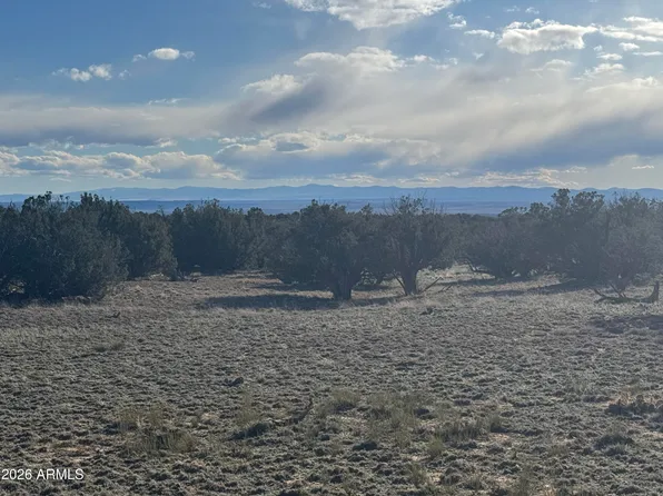 Lot 215 Woodland Valley Ranch -- #215, St Johns, AZ 85936