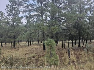 199 Eagle Ridge Rd, Alto, NM 88312