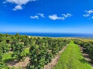 95-3869 Halemauna Rd, Naalehu, HI 96772