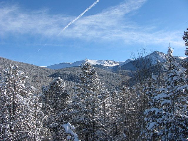 View from living room window