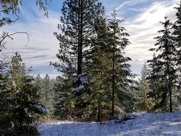 2nd image of 4885 Forest Haven Way