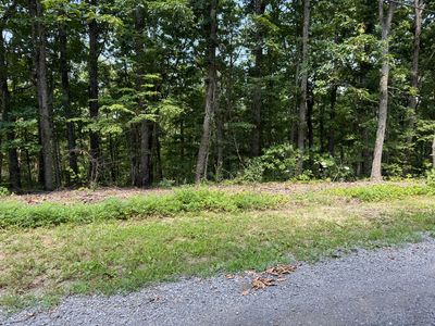 LOT 36 Pecan Tree Ln, Newport, TN, 37821