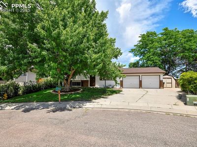 4059 Cooke Ln, Colorado Springs, CO, 80911