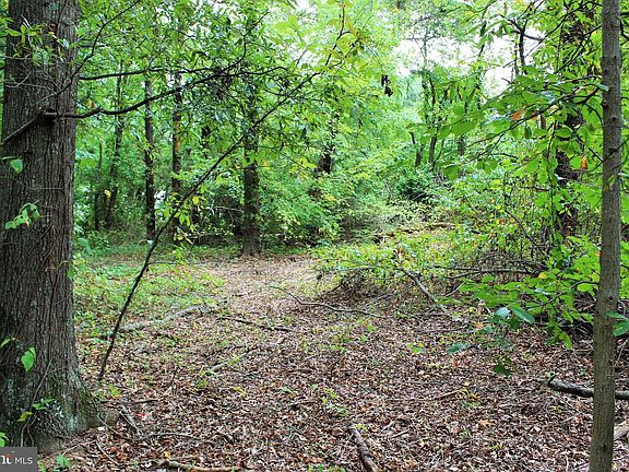 4th image of 28723 Three Notch Rd