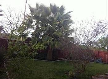 2nd image of 3156 Stuart Isl St