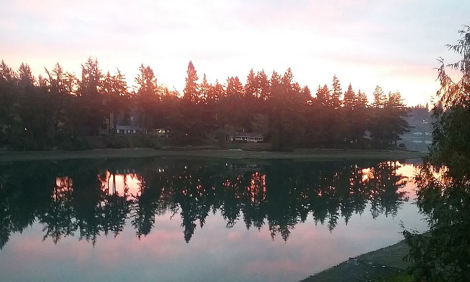 2nd image of 1714 Madrona Point Dr