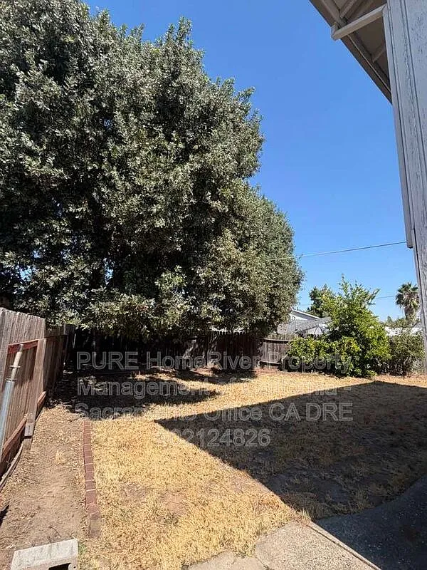 5 bed, 2.5 bath, 2207 sqft, $3,495 — Photo 4
