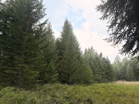 3rd image of 47466 Harmony Ln