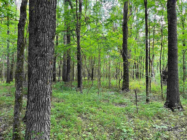 505 Chapel Rd, Rossville, TN 38066