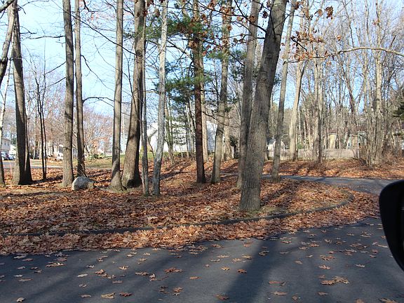 5th image of 39 Down East Lane #5