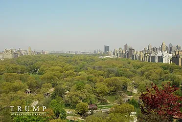 106 Central Park South #29A image 1 of 3