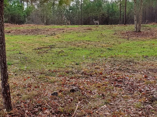 Elmer Ln, Vernon, AL 35592