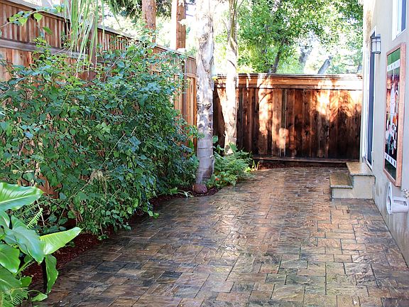 back yard