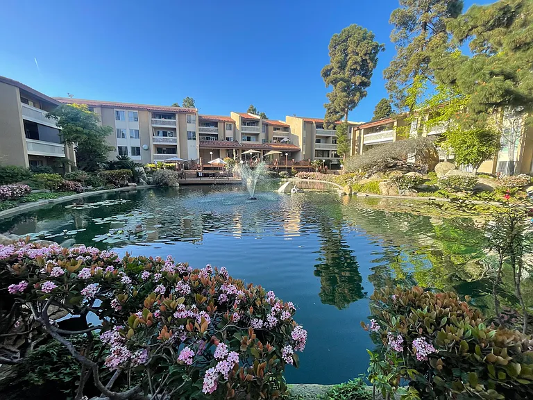 Community Water Feature