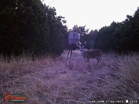 4th image of 240 County Road 315