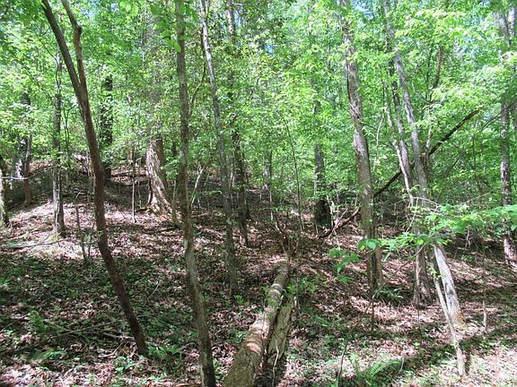 5th image of 0 Chestatee Dr #7
