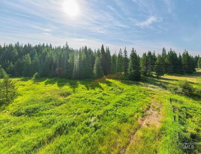 18602 Upper Fords Creek Rd, Weippe, ID, 83553