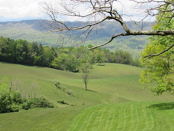2nd image of 424 Deer Creek Xing
