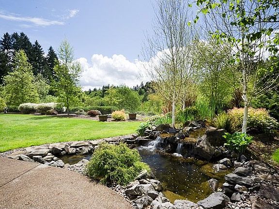 Back Yard/Water Feature