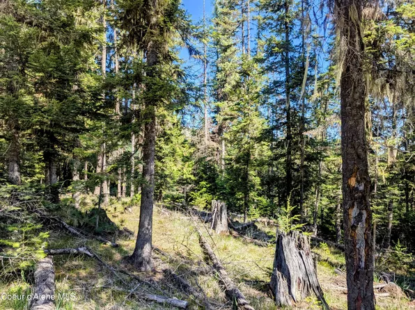 Sheep Creek Rd, Santa, ID 83866