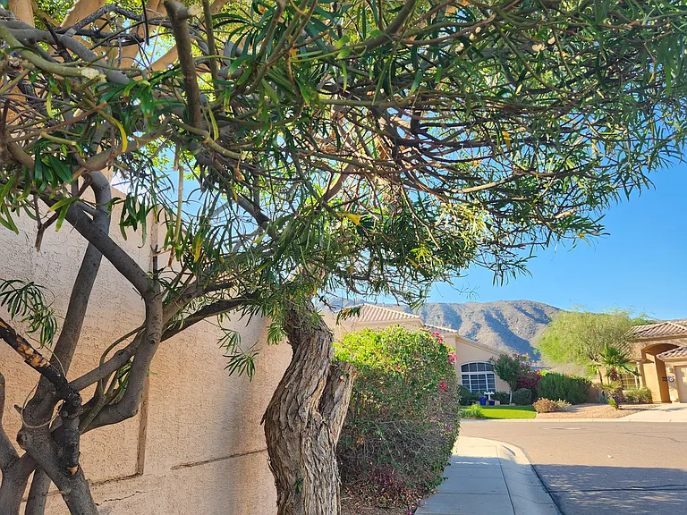 1727 W Thunderhill Dr — Photo 31