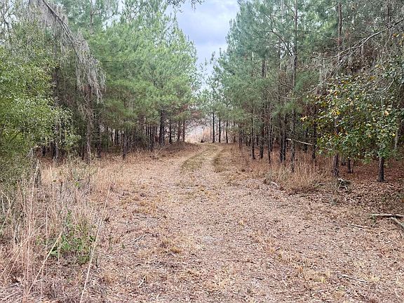 2nd image of Tbd Ne Duval Pond Rd