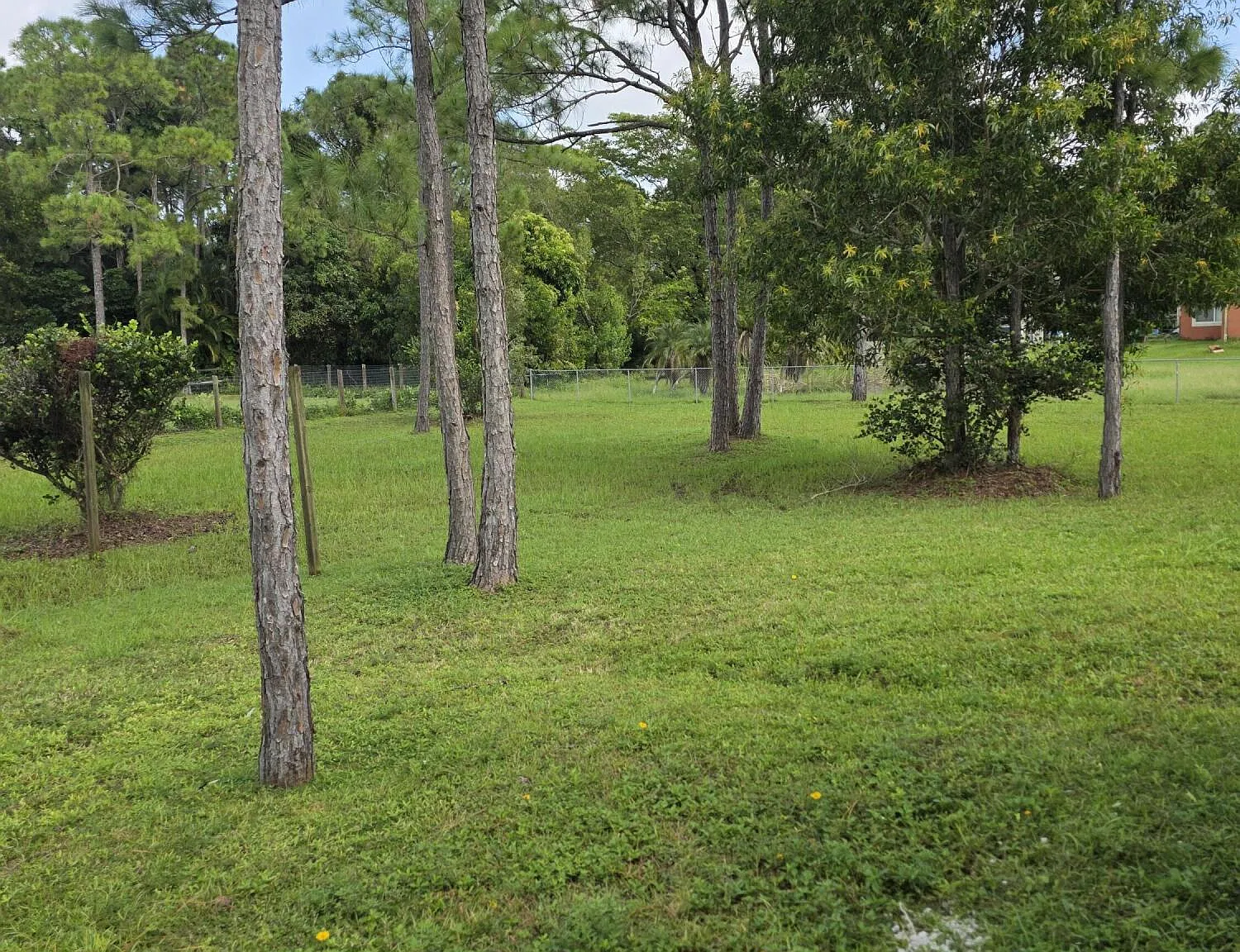4 bed, 2.0 bath, 1700 sqft, $4,000 — Photo 4