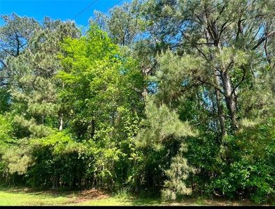 N Cherry St, Hammond, LA, 70401